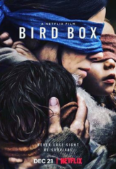 bird box (2018)